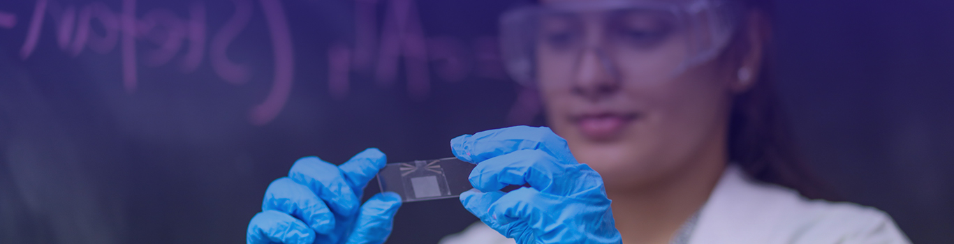 Bachelor of Science visual data 6